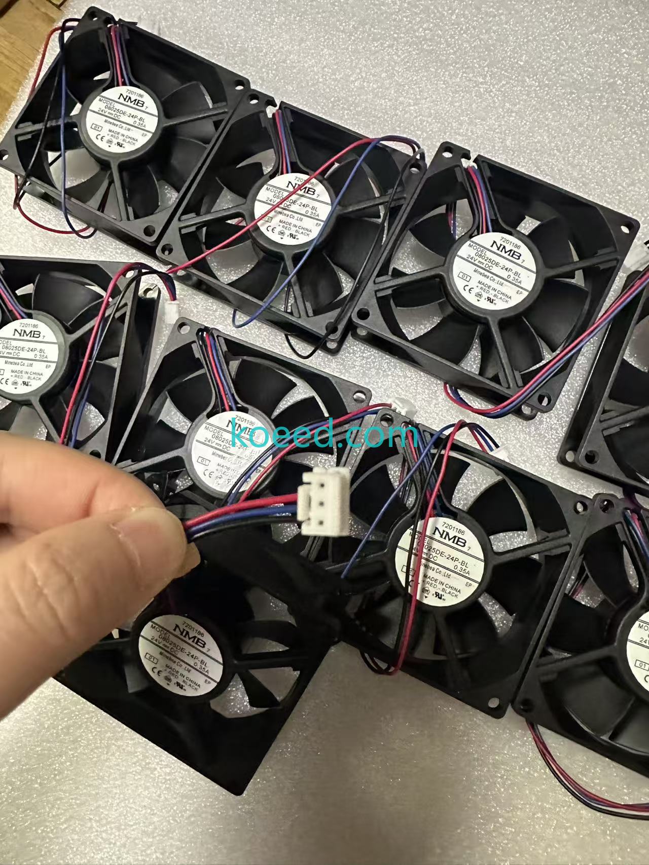 08025DE-24P-BL - Product View