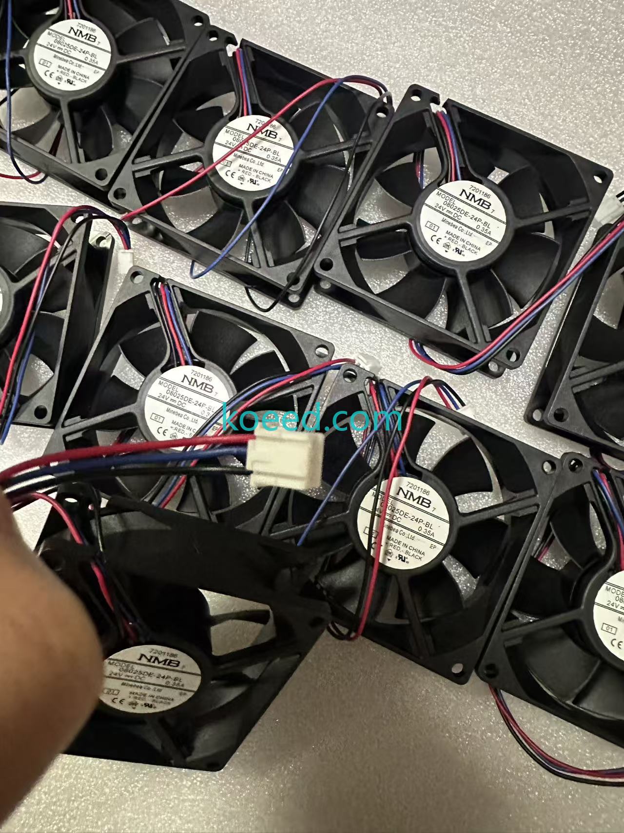 08025DE-24P-BL - Product View