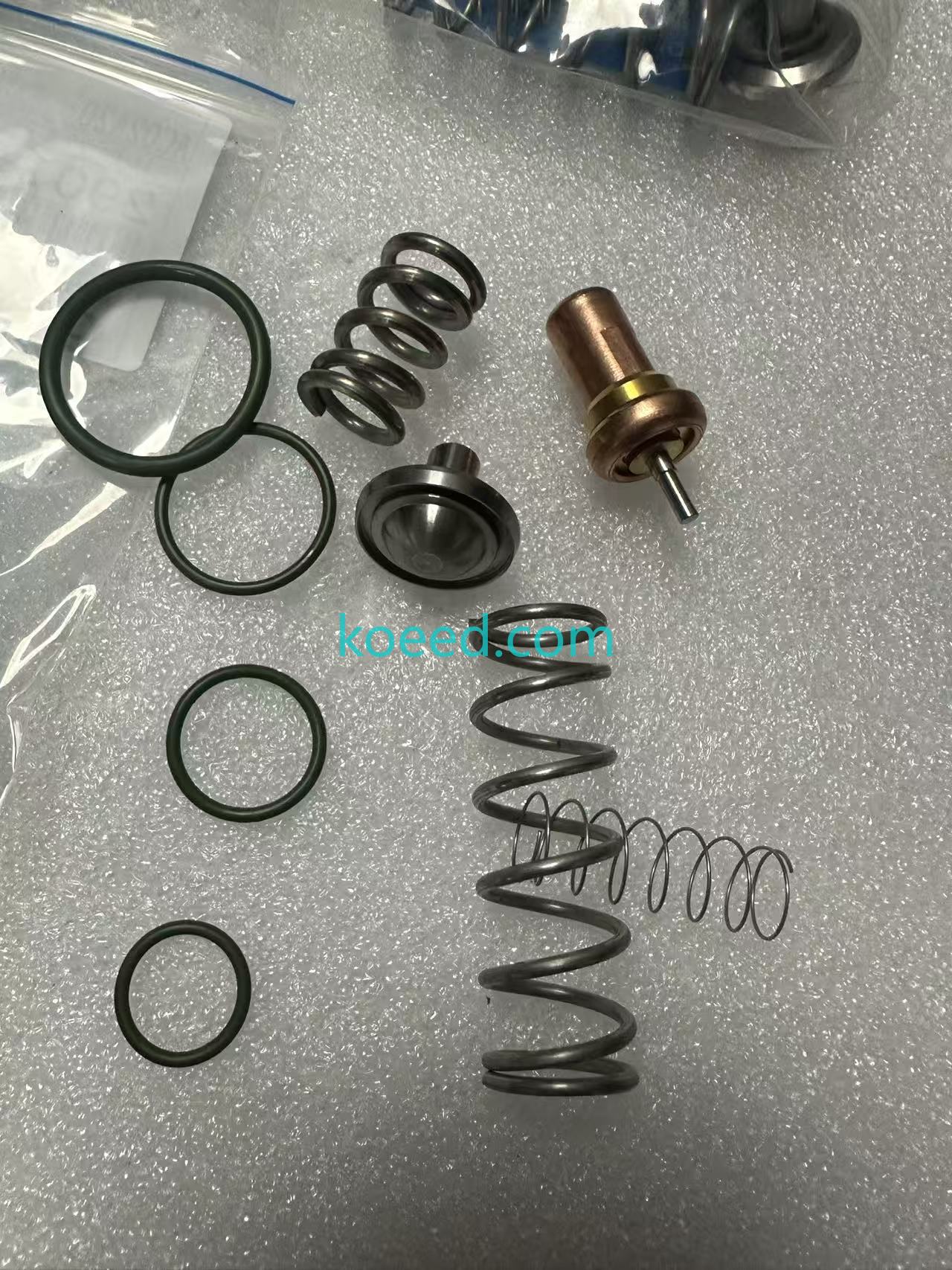 2901109500 Thermostat Valve Kit — Full Kit Overview