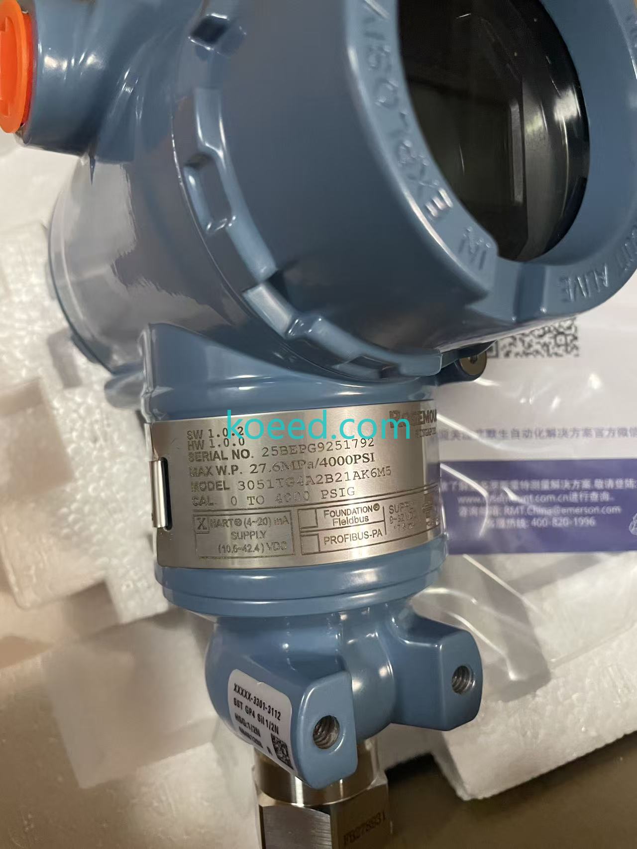 3051TG4A2B21AK6M5 Label Details