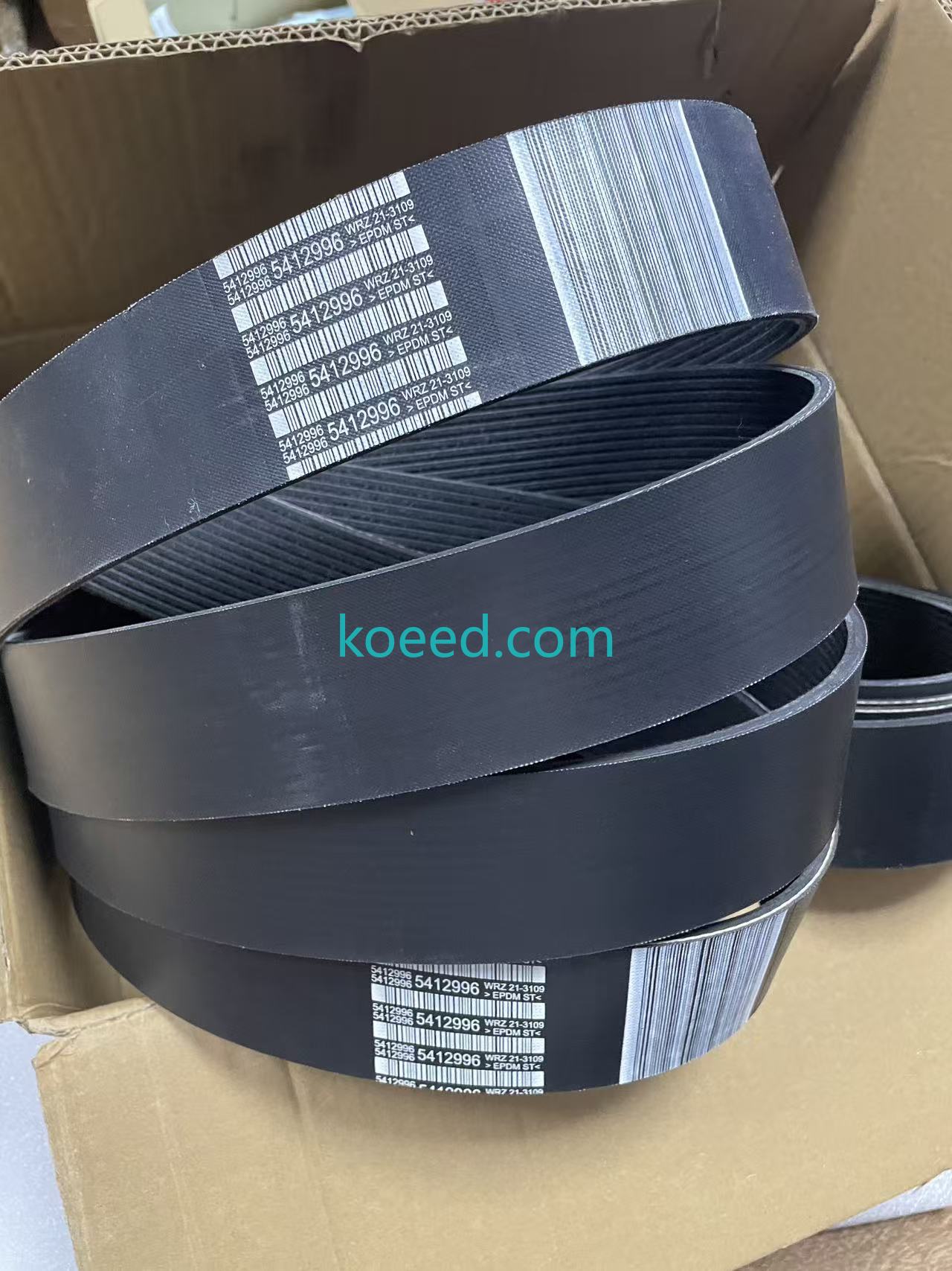 5412996 - Koeed Fashion View