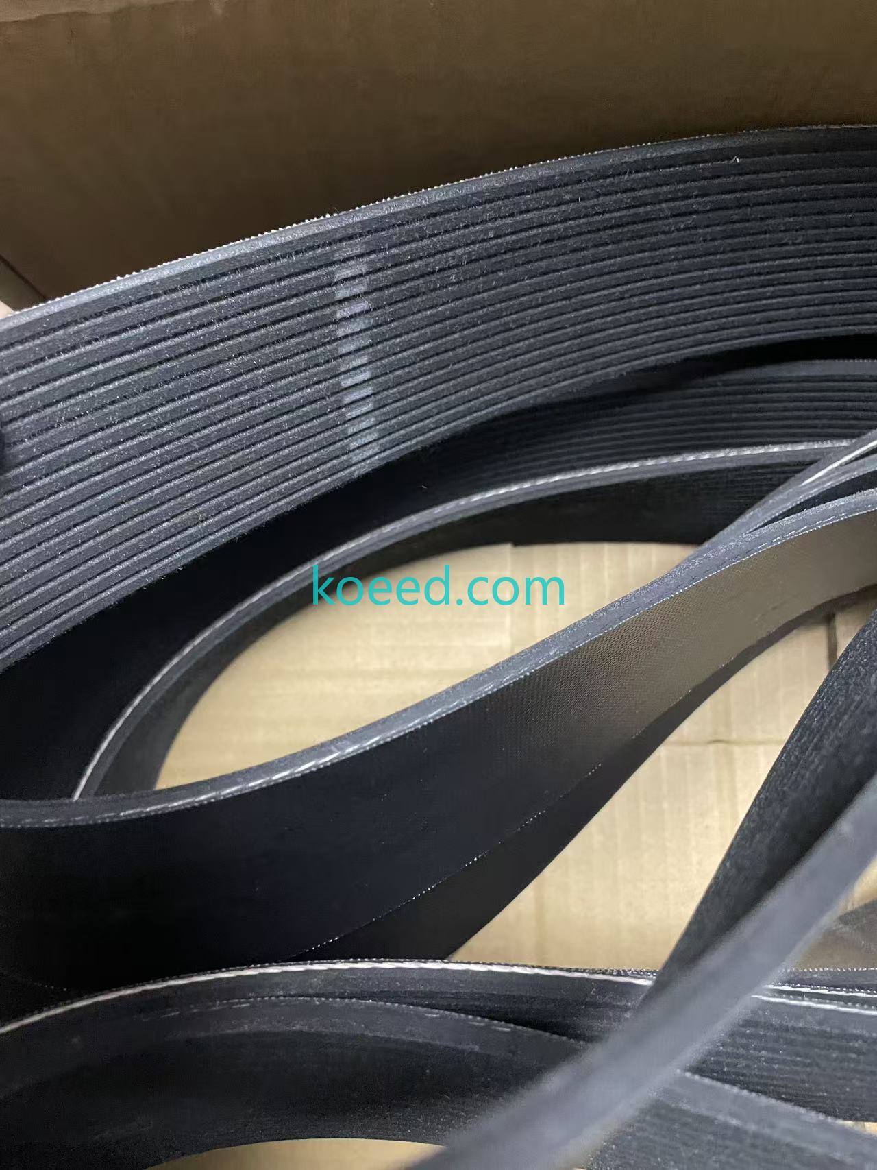 5412996 - Koeed Fashion View