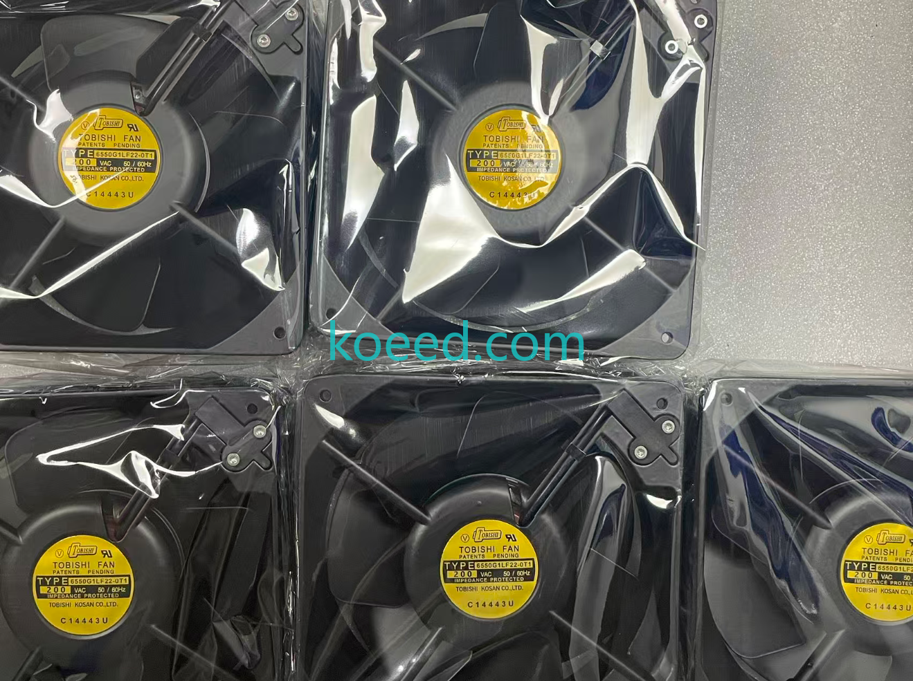 6550G1LF22-0T1 - Koeed Fashion View