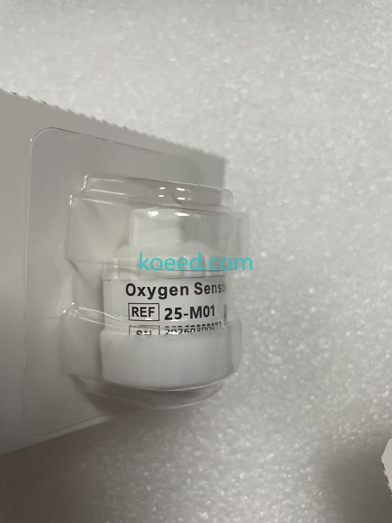 6640044 - Koeed Fashion View