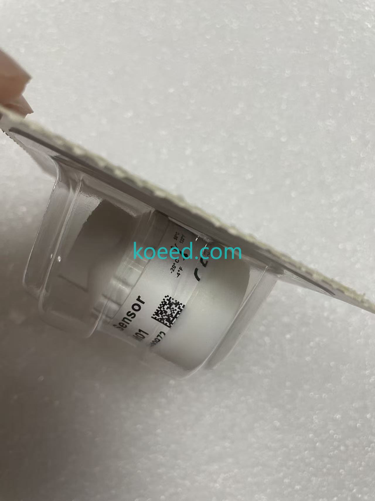 6640044 - Koeed Fashion View