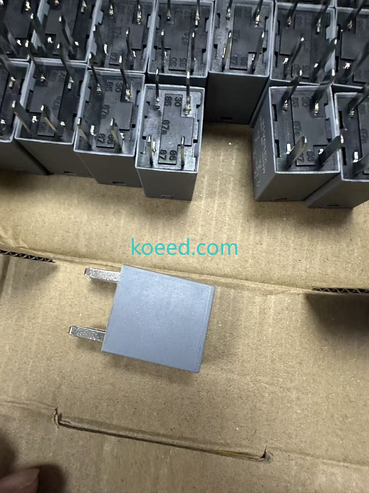 68083380AA - Koeed Fashion View