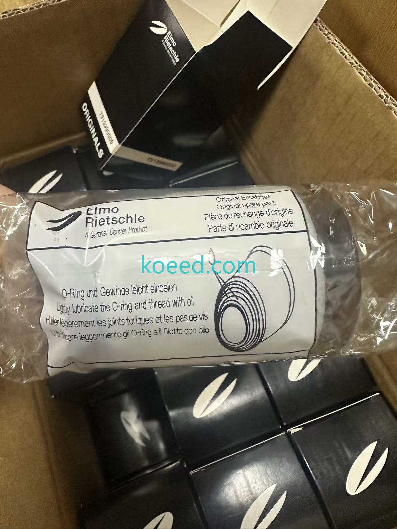 731399-0000 - Koeed Fashion View