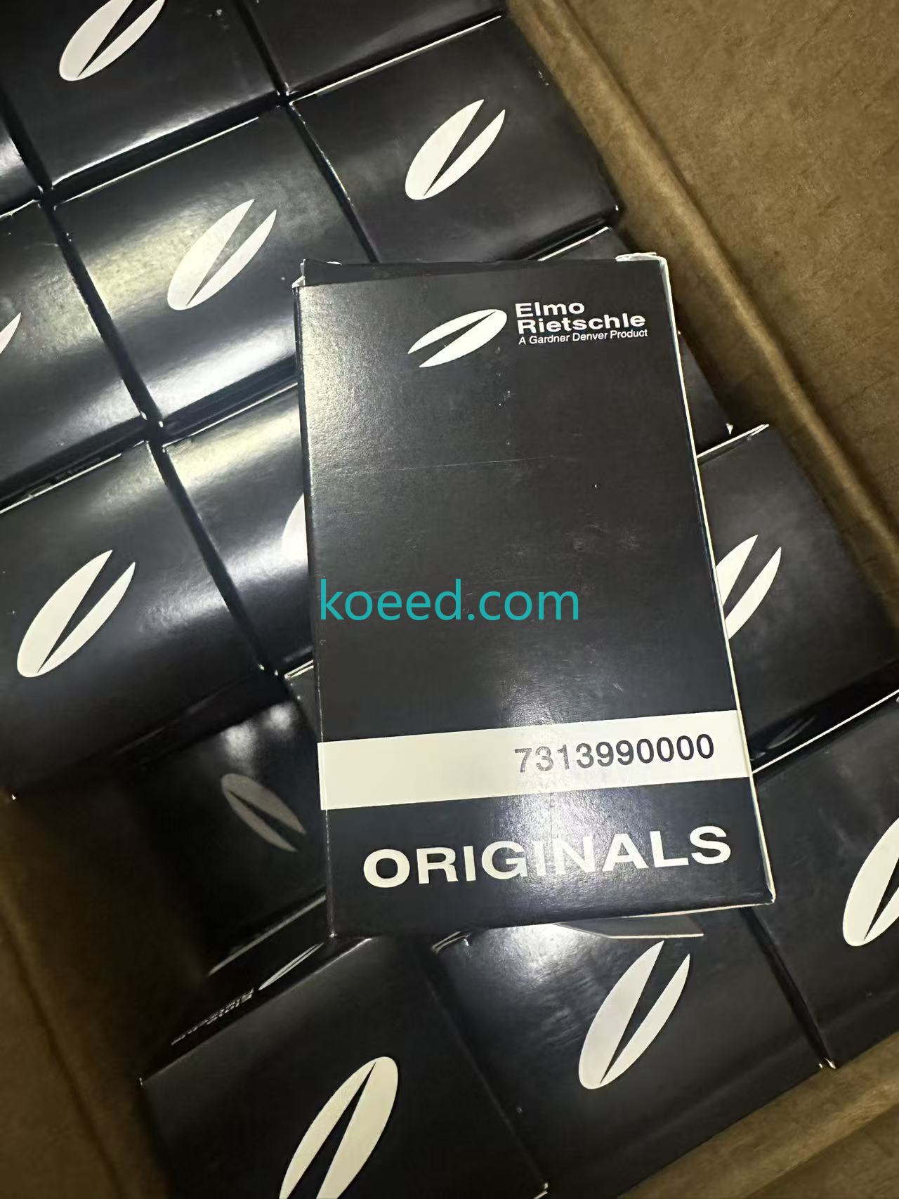 731399-0000 - Koeed Fashion View