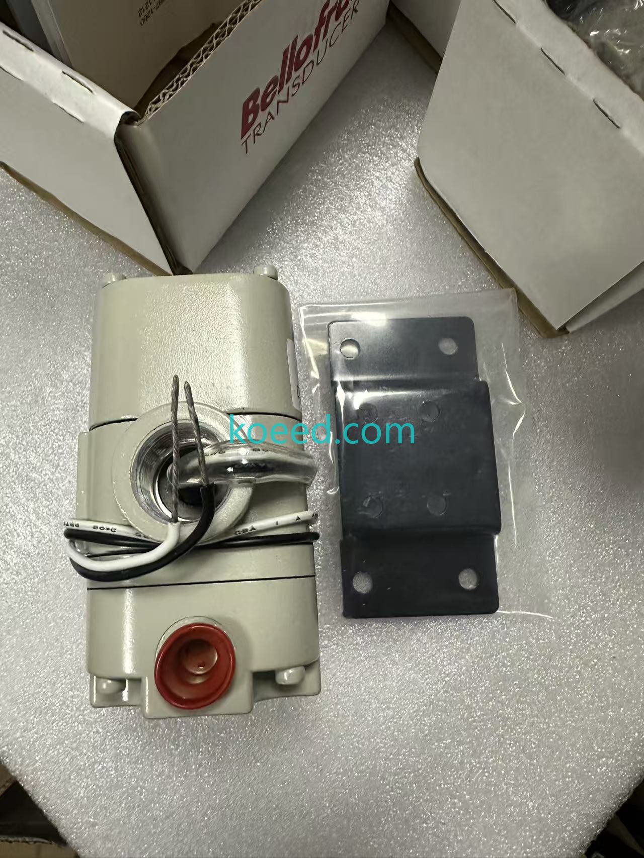 Bellofram 961-075-000 T-1000 - Mounting Face
