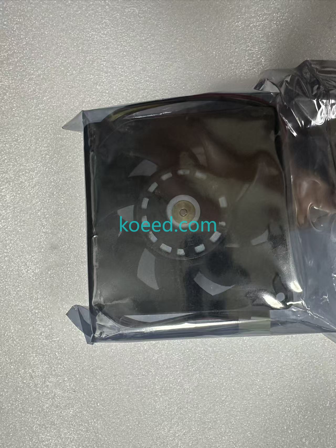 9WV0848P1H001 - Koeed Fashion View