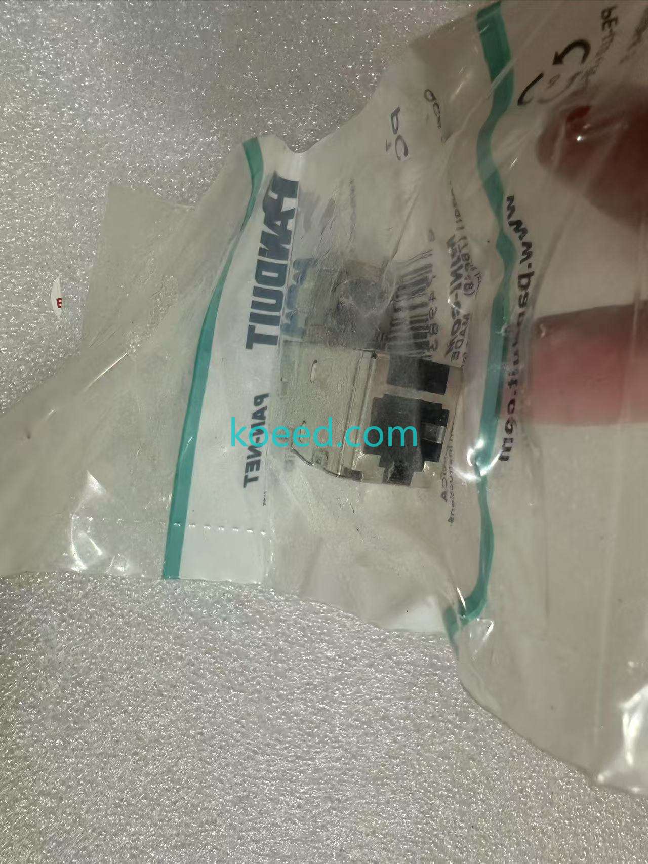 CJS6X88TGY Back View