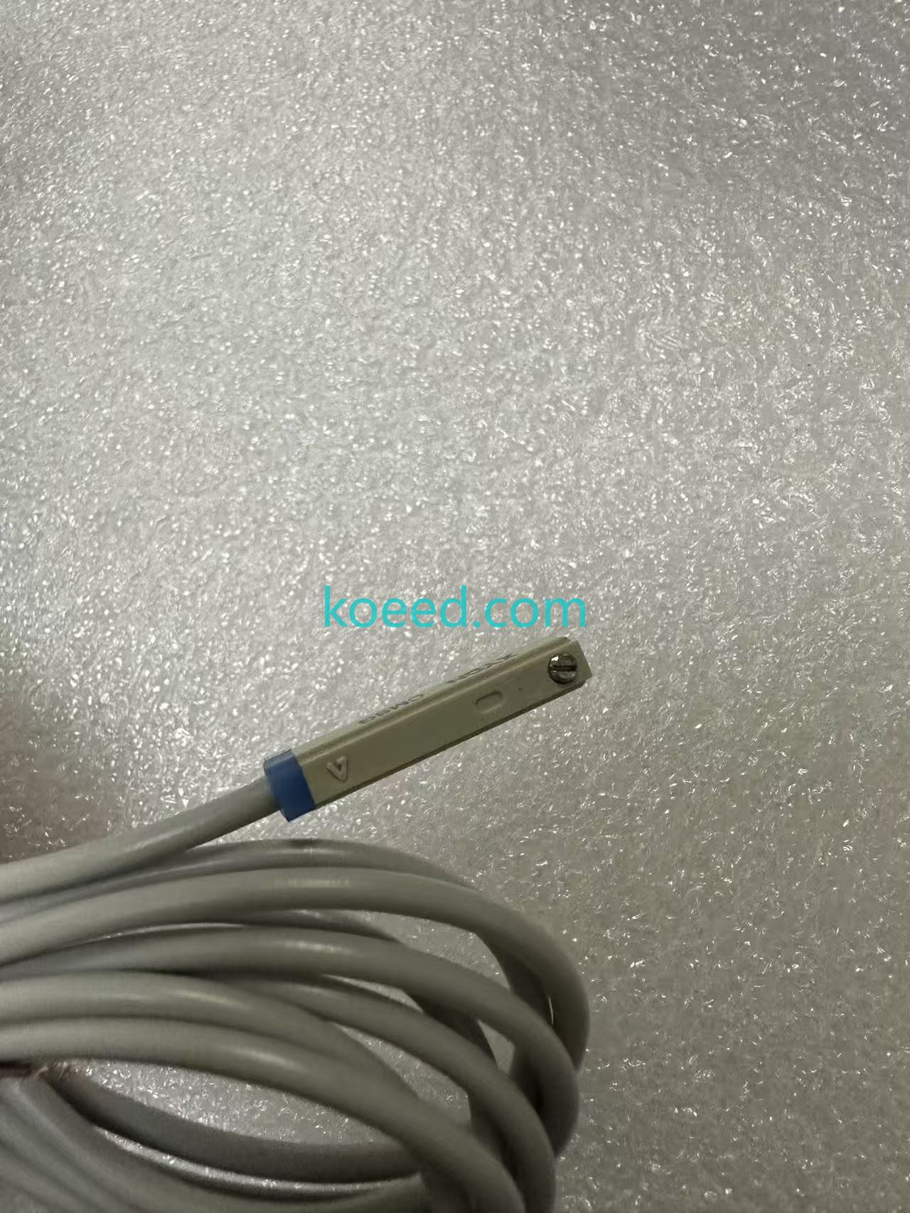 CMSG-020/2W - Koeed Fashion View