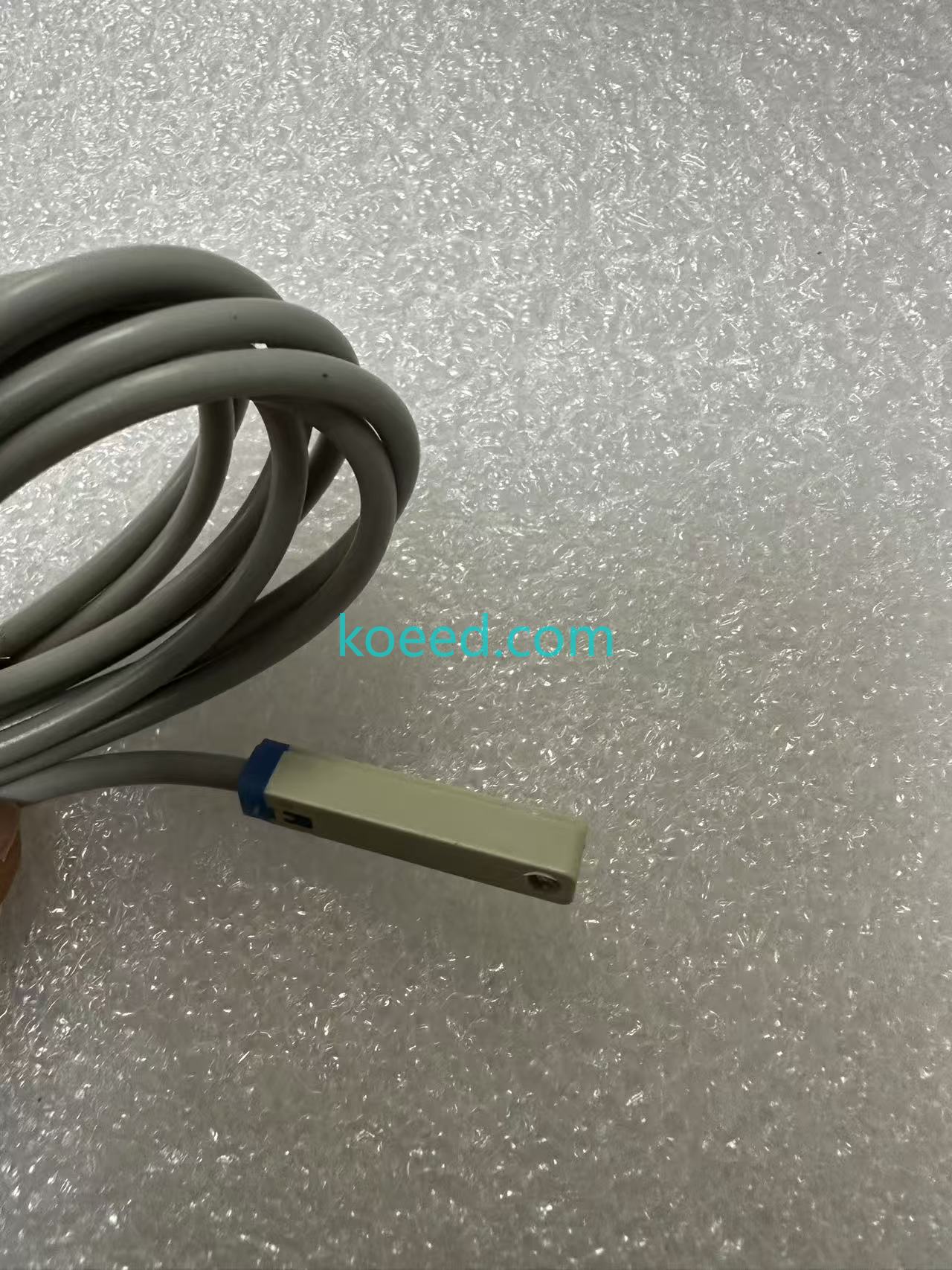 CMSG-020/2W - Koeed Fashion View