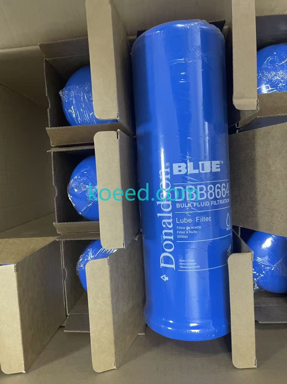 DBB8664 Filter Element Front View