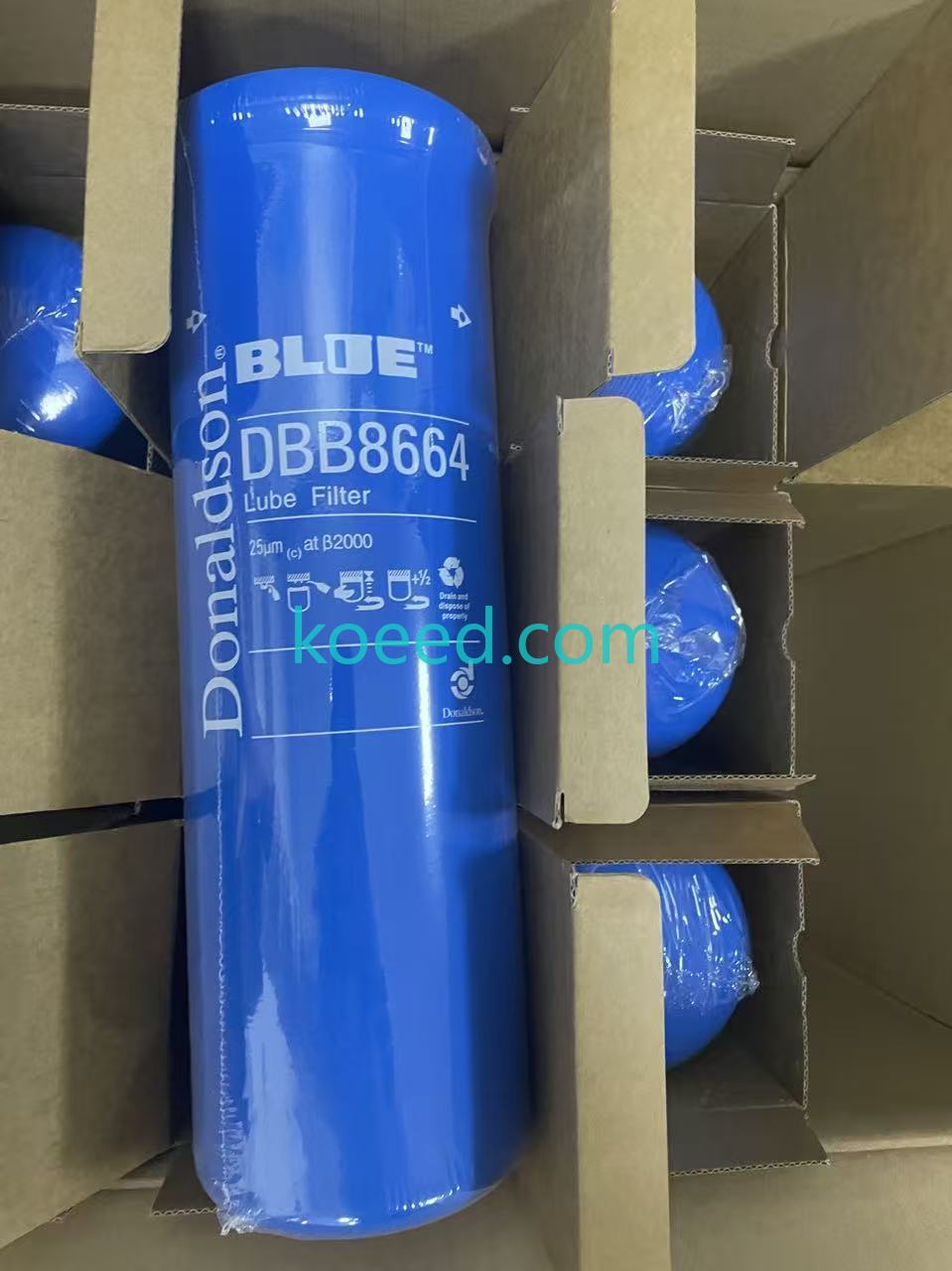 DBB8664 Filter Element Technical Details