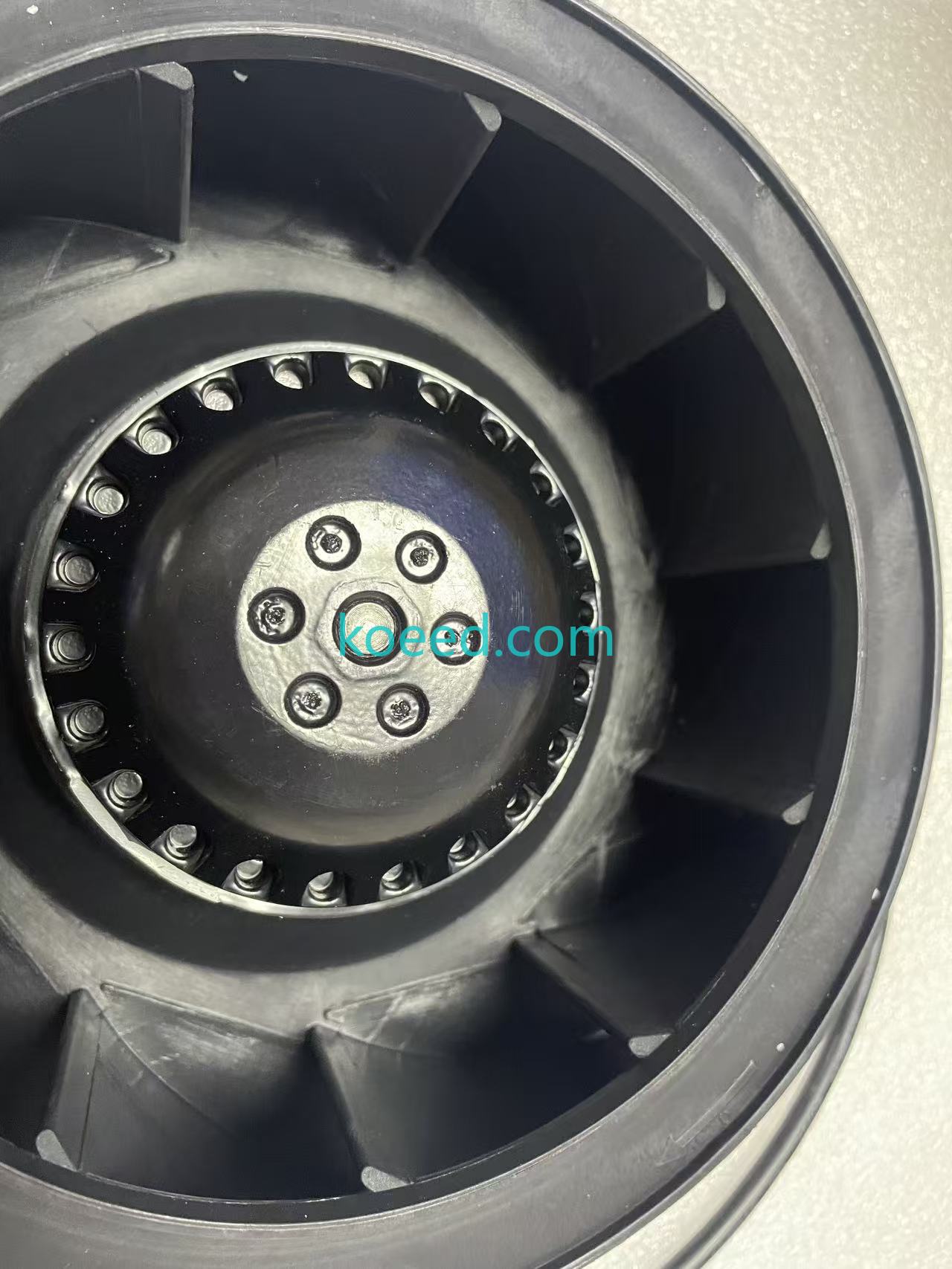K2E220-RB06-10 - Koeed Fashion View