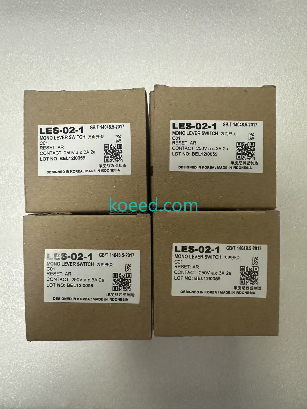 Koeed LES-02-1 PLC Controller — Mounted View