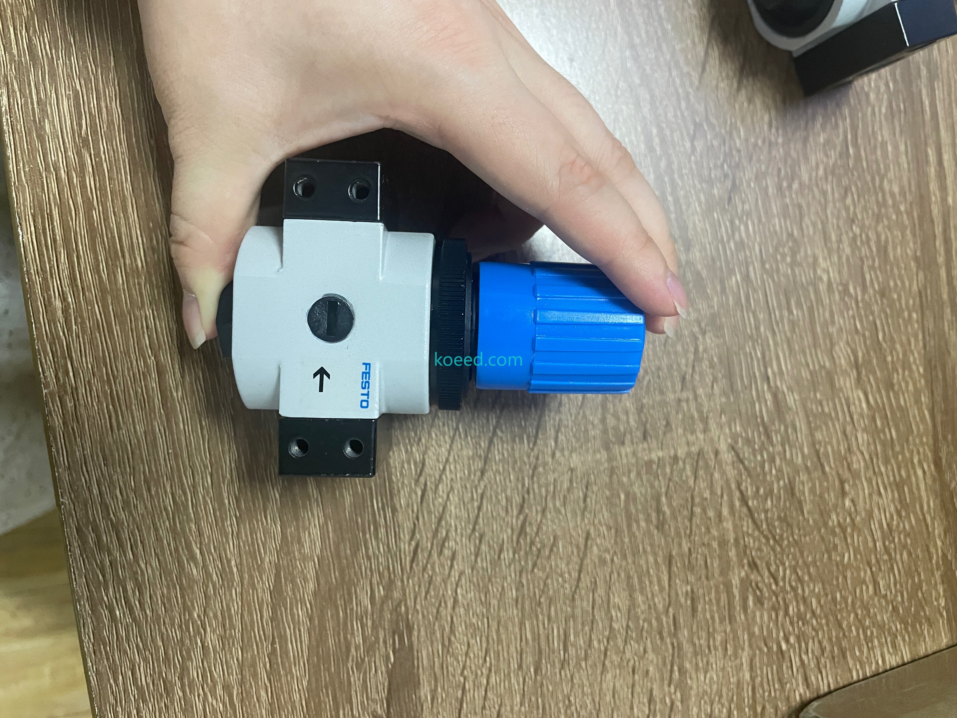 Festo LR-1/4-D-O-I-MINI - Product labeling and model identification