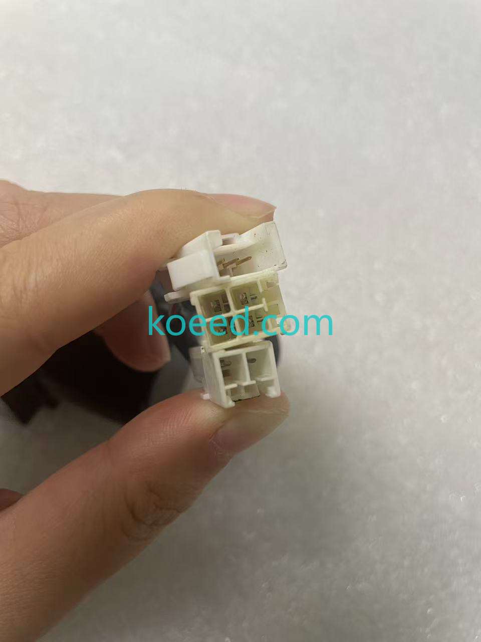 P50B05020DCL69 Servo Motor — Side Angle View