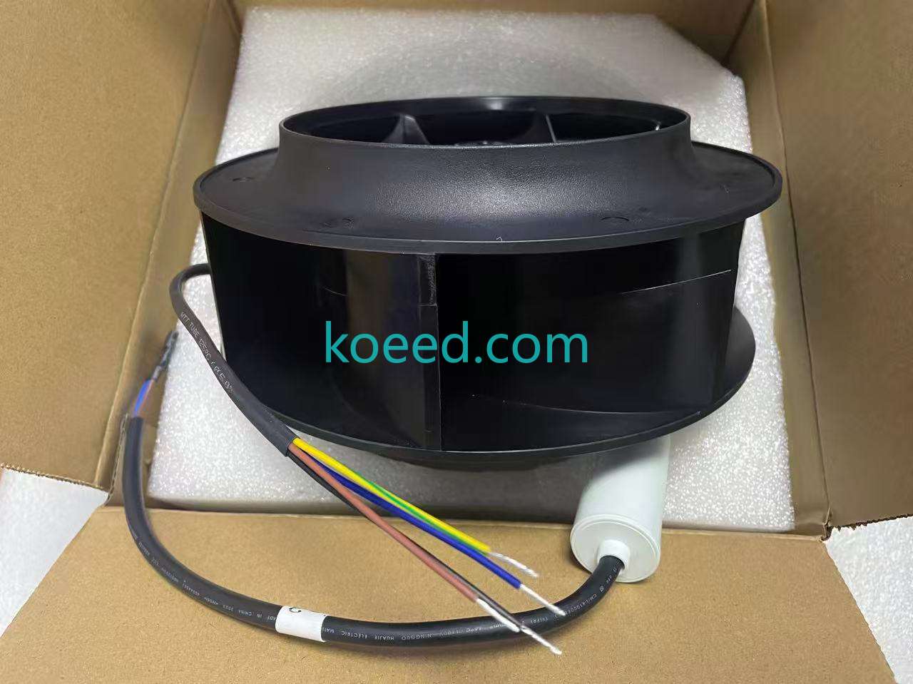 R2E225-BD92-19 - Koeed Fashion View