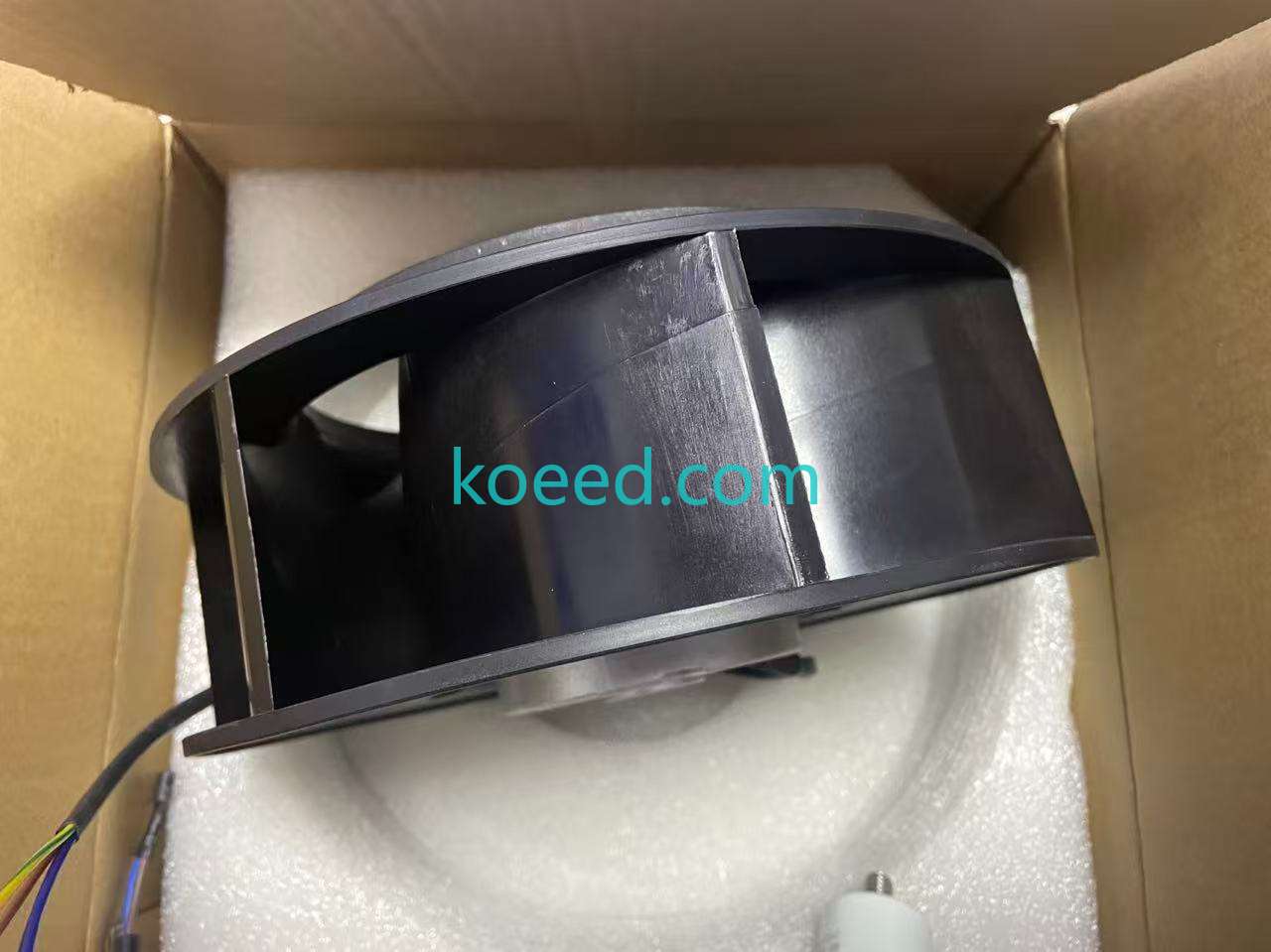 R2E225-BD92-19 - Koeed Fashion View