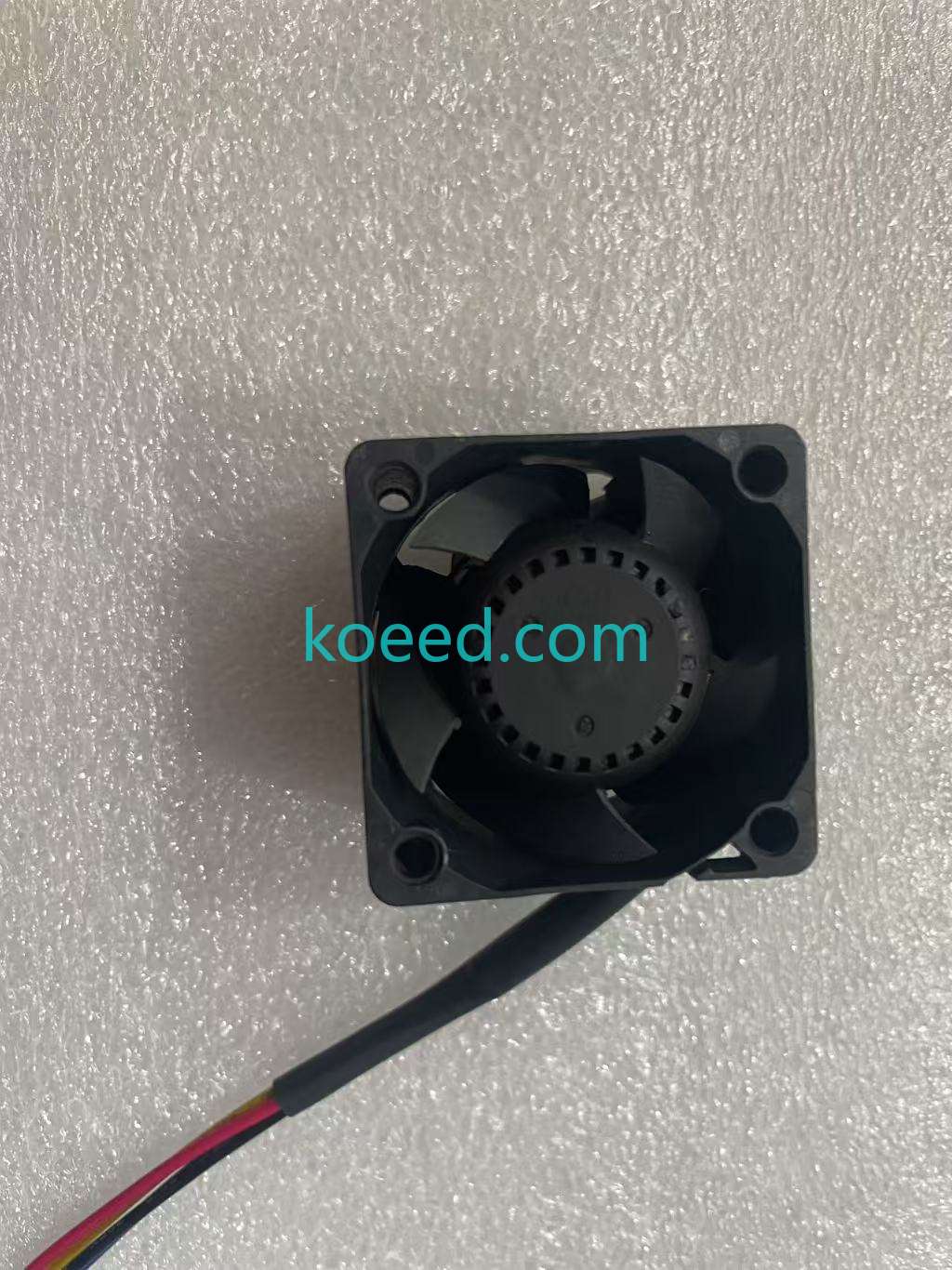 PF38281B1-000U-S99_3