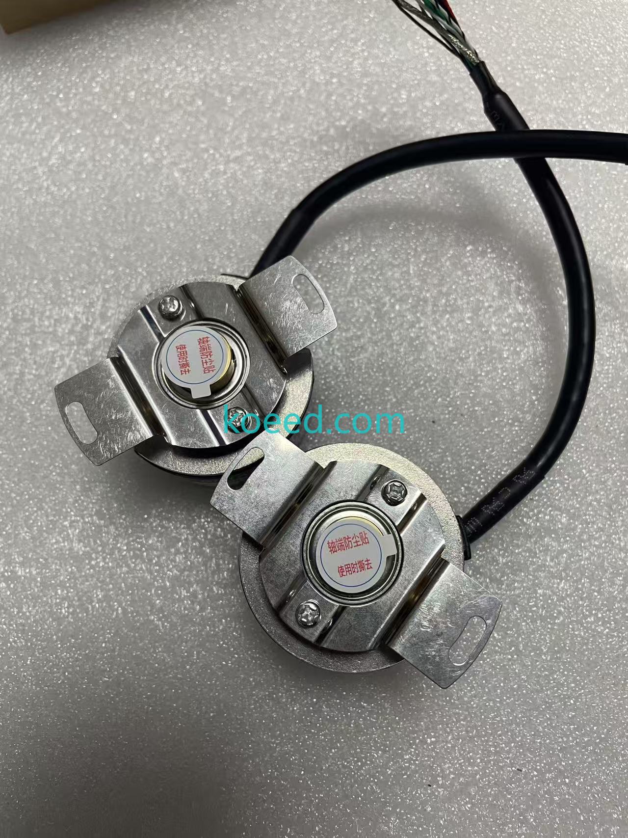 TS5213N550 - Koeed Fashion View