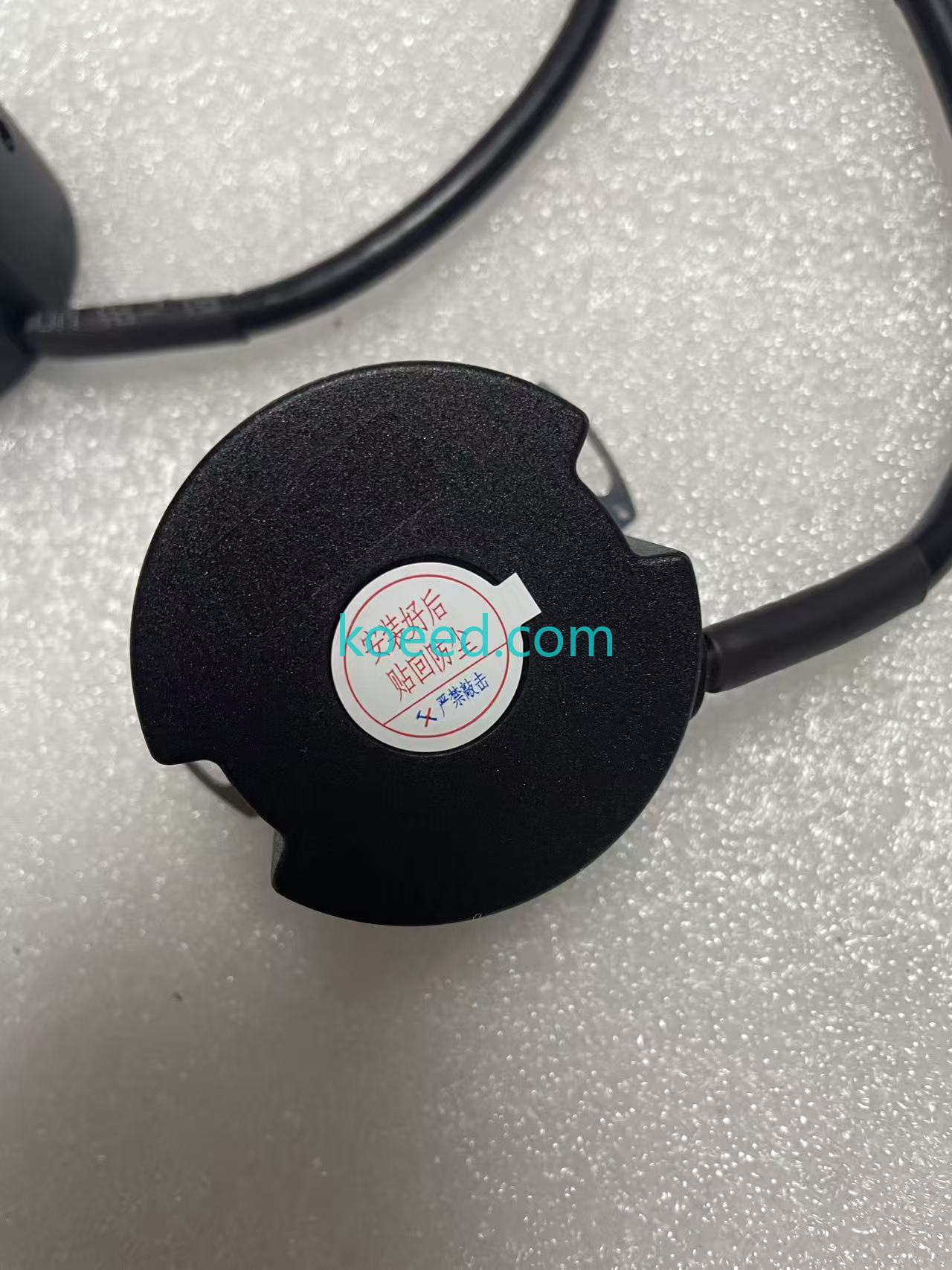 TS5213N550 - Koeed Fashion View